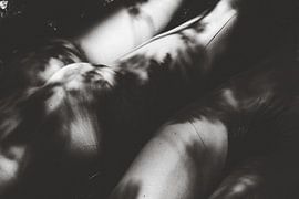 Feather skin by Maximiliane Wittek