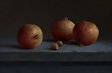 Pomegranates by annemiek art