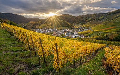 Herfst op de Ahr, Rijnland-Palts, Duitsland
