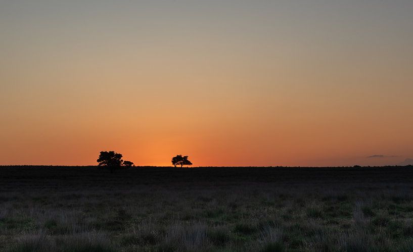 Sunrise on the Terlet heath. by René Jonkhout