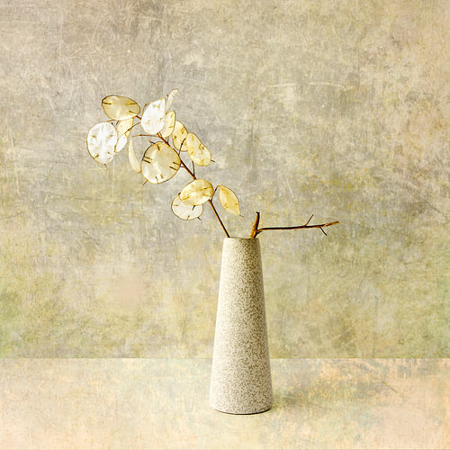 Less is more. Minimalism. Judas pine in beige.