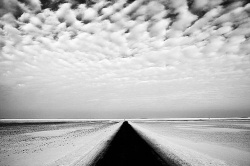 Groninger polder in zwart-wit