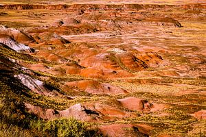 Bunte Hügel und painted desert im petrified forest national park in Arizona USA