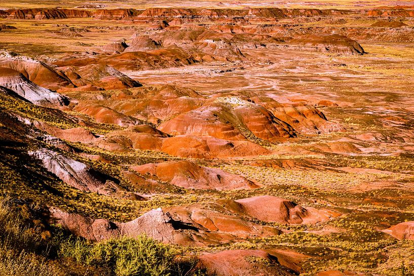 Collines colorées et désert peint dans le petrified forest national park en Arizona USA par Dieter Walther