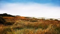 Ameland Naturschutzgebiet 't Oerd