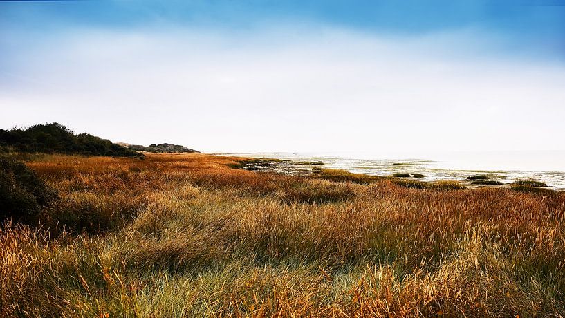 Ameland Naturschutzgebiet 't Oerd von Martin Weijmer