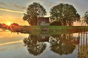 Zonsopkomst bij de moerasdraak aan het Bossche Broek in Den Bosch
