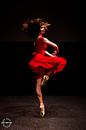 Dans in rood van Alex Spinder thumbnail