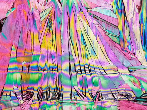 Museum of Modern Art