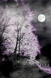 Vollmond by Vera Laake