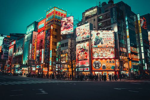 Kleurrijke reclameborden in Akihabara van Mickéle Godderis