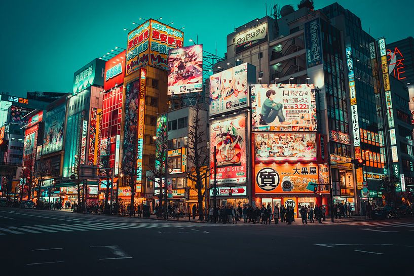 Kleurrijke reclameborden in Akihabara van Mickéle Godderis