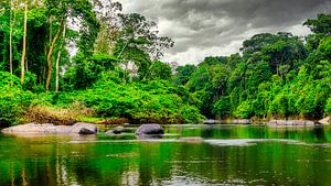 Kabalebo Nature Resort ist ein Ferienort in Suriname