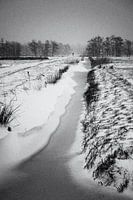 Hiver avec déambulateur