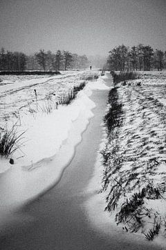 Winter met wandelaar van Peter Jongeling