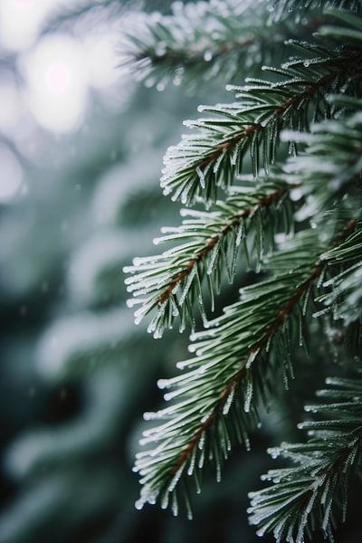 Winter Impressions No 2 by Treechild