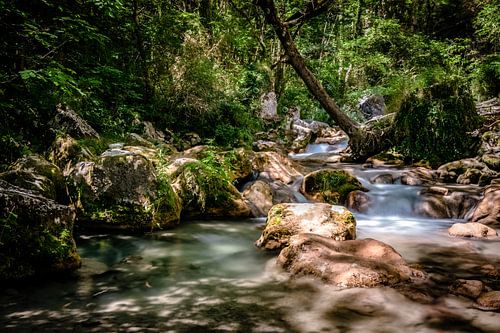 Fast-flowing mountain river in the European Alps