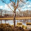 Large Sailing Lake by rosstek ®