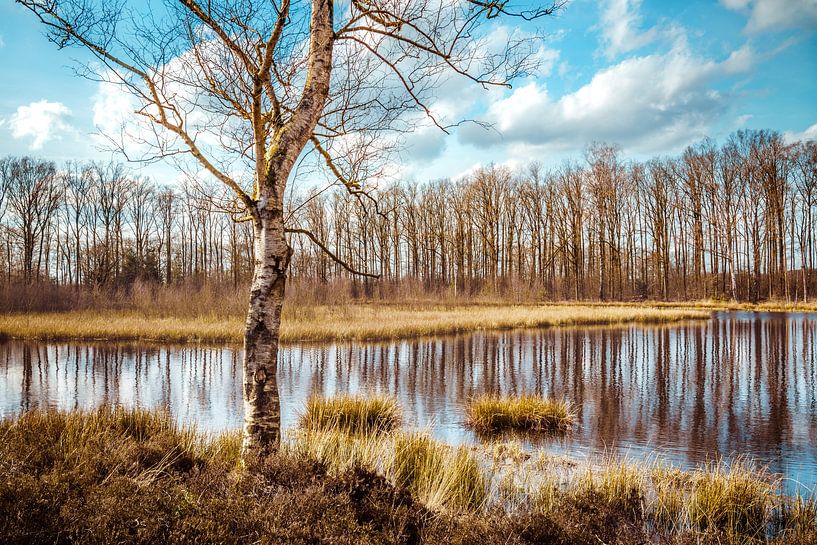 Großer Segelsee von rosstek ®