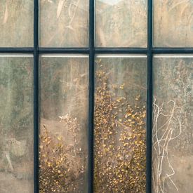 Botanische Studie 12 von Floortje Louise