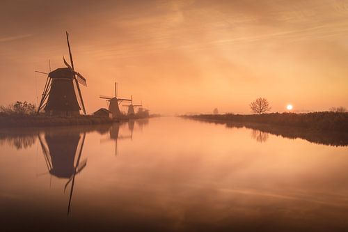 Molens in een mistige zonsopkomst bij Kinderdijk, Nederland