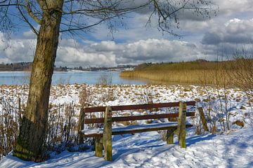 Dreifelder Weiher,Westerwald,Duitsland van Peter Eckert