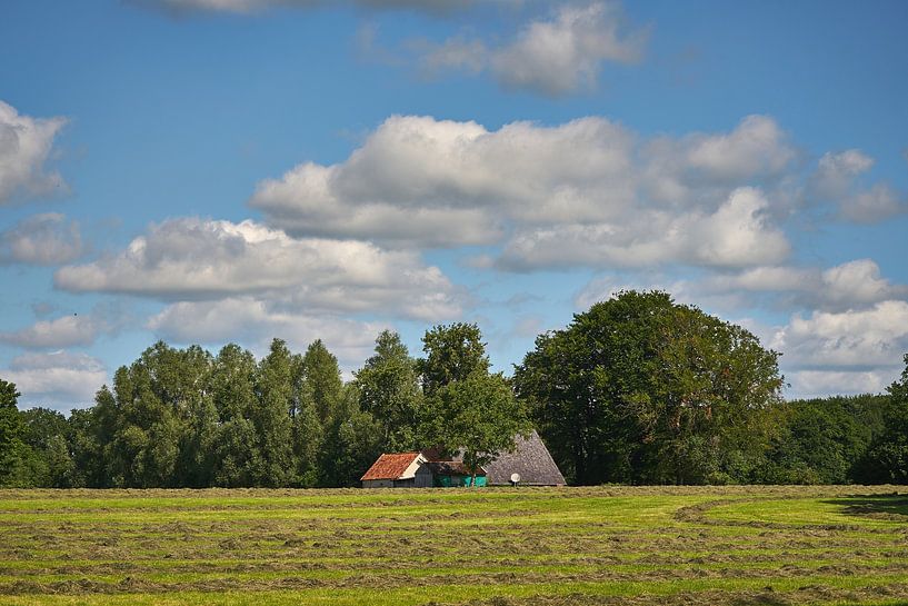 Rural ... by Eric Fotografie
