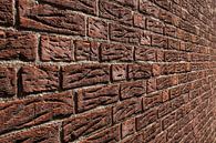 Brick Wall van Olaf Van Dijk thumbnail