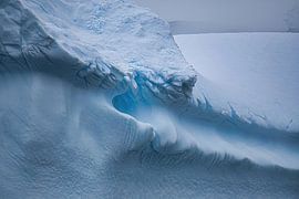 Außergewöhnliche Details von Frank's Awesome Travels