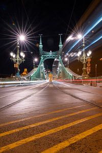 Freiheitsbrücke in Budapest, Ungarn von Lizzy Komen