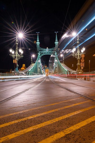 Liberty Bridge in Boedapest, Hongarij van Lizzy Komen