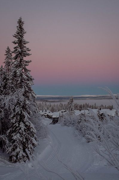 Trysil, Norway by Ruud Langendijk