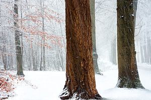 Stark stehen.  von Fabrizio Micciche