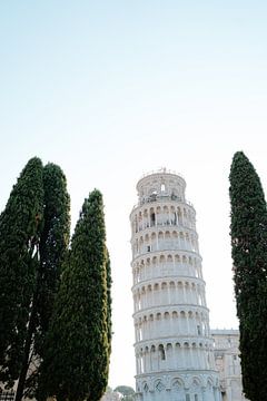 Turm von Pisa | Pisa Italien von sonja koning