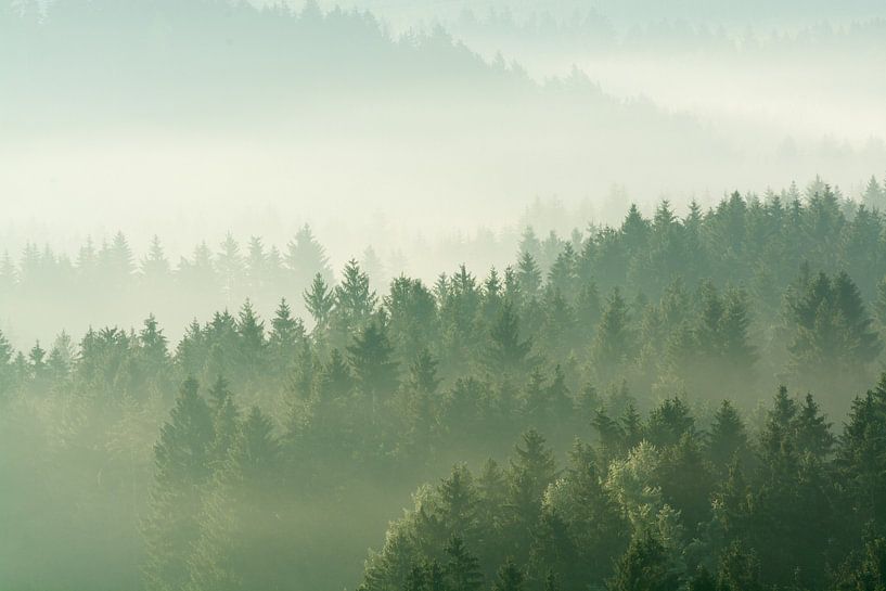 Nebel Landschaft von Tobias Luxberg