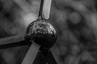 Reflexion in einer Metallkugel