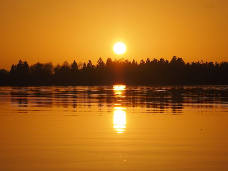 Wrapped in gold the first by Mathias Behr
