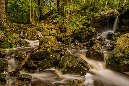 Cascade des Nutons: A small waterfall in the Ardennes during autumn