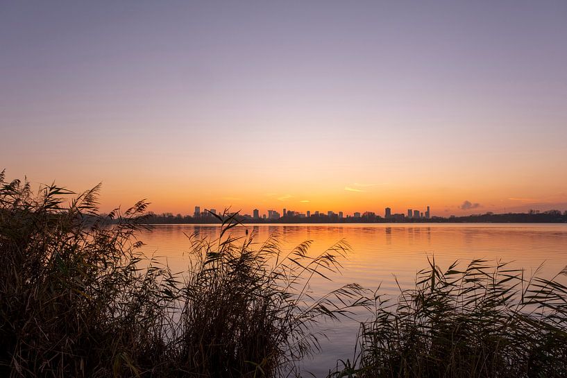 Beautiful sunset over the Kralingse Plas with reeds by Tjeerd Kruse