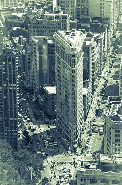 Flat Iron Building, Manhattan, New York City van Hans Wijnveen