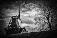 Fluisteringen van de windmolen