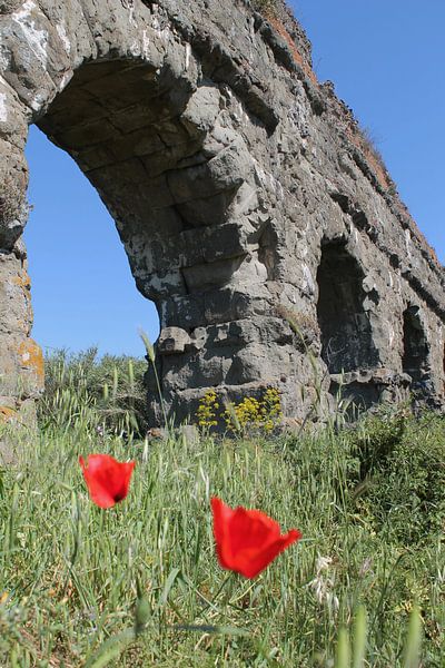 Aqueduc par Paulien Hemelaar