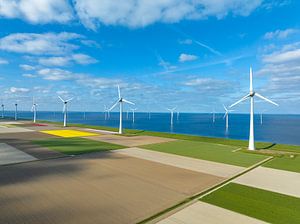 Tulpen auf landwirtschaftlichen Feldern mit Windrädern im Hintergrund