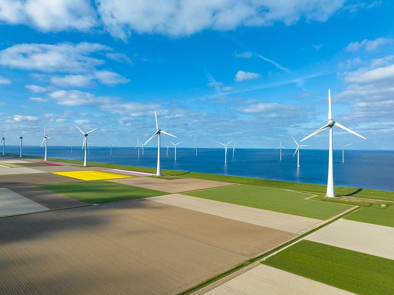 Tulips in agricultural fields with wind turbines in the backgrou by Sjoerd van der Wal Photography
