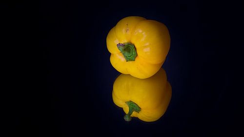 Paprika