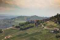 Heuvels van Piemonte met gele gloed van avondzon van Joost Adriaanse thumbnail