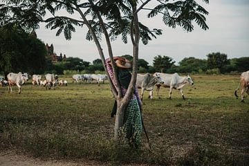Vrouw rust tegen boom terwijl haar vee langs loopt van Ayla Maagdenberg
