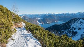 Winterwanderweg am Herzogstand von SusaZoom