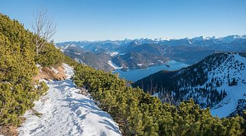 winters wandelpad naar de berg Herzogstand, Beierse Alpen van SusaZoom