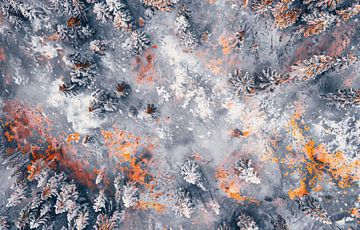 Bekijk het winterbos panorama van bovenaf van fernlichtsicht